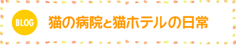 猫の病院と猫ホテルの日常